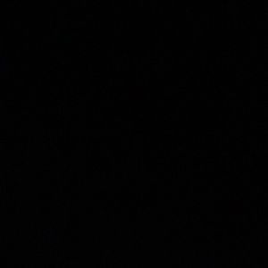 Meet your Posher, Harry